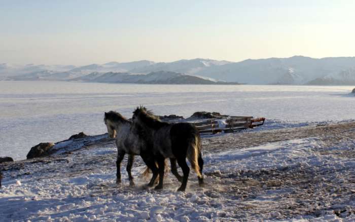 Конные туры по Байкалу