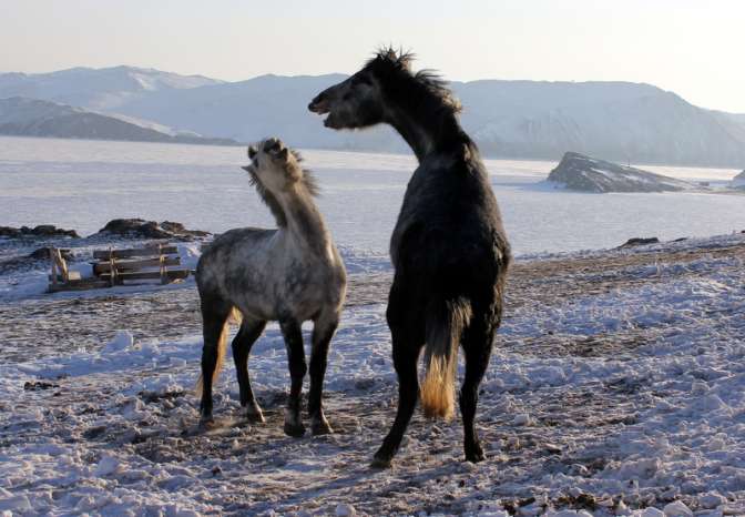 Конные туры по Байкалу